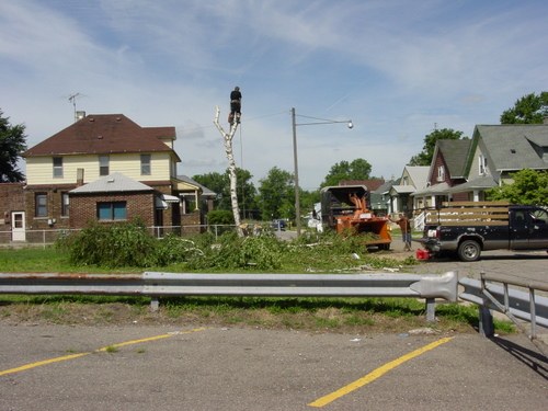 ./Gallery/2011 Bennet Lot Tree Removal/DSC06452.JPG